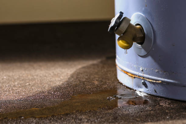 Best Water damage cleanup near me  in Warren, IL