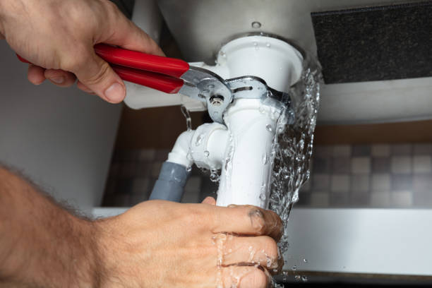 Best Sewage cleanup and water damage restoration  in Warren, IL