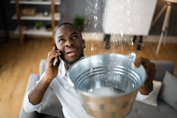  Warren, IL Water damage restoration Pros