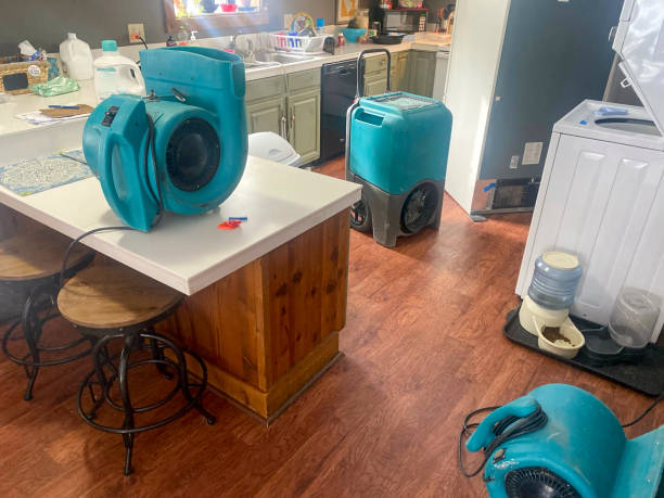 Best Flooded house restoration  in Warren, IL