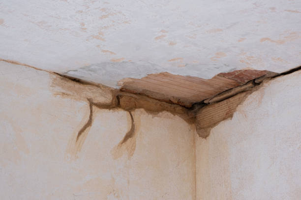 Best Water damage restoration near me  in Warren, IL