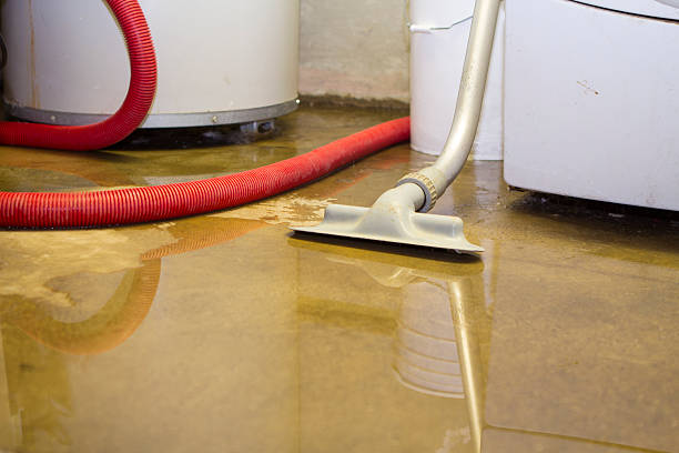 Best Water damage restoration services  in Warren, IL