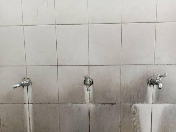 Best Flood restoration services  in Warren, IL