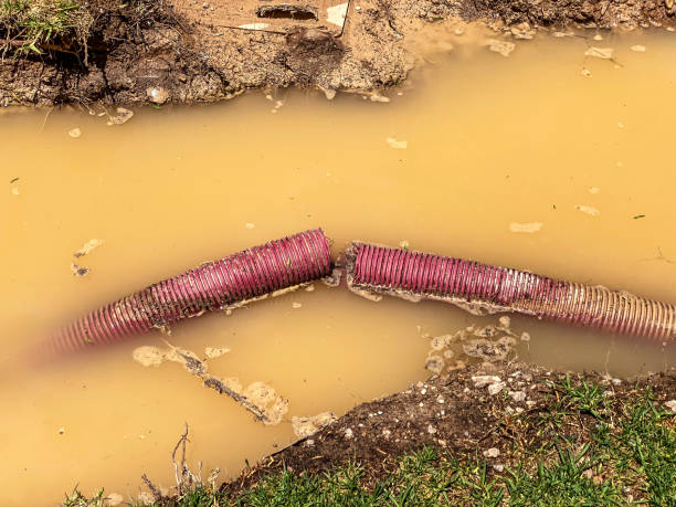 Best Commercial water damage restoration  in Warren, IL
