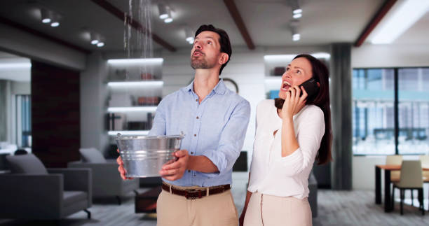Best Water damage repair service  in Warren, IL