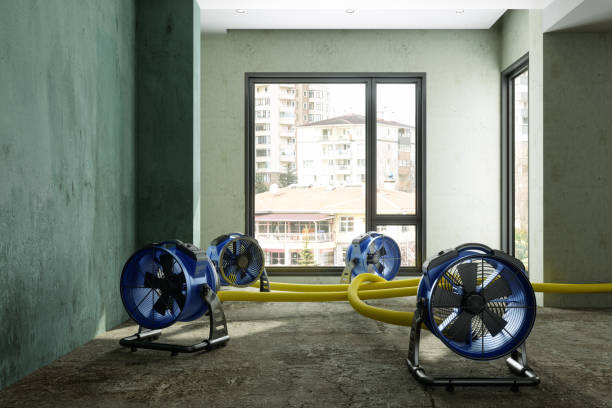 Best Commercial water damage restoration  in Warren, IL
